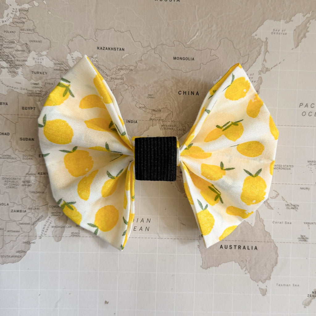 Back side of the white dog bow with lemon pattern and an elastic loop on a world map background.
