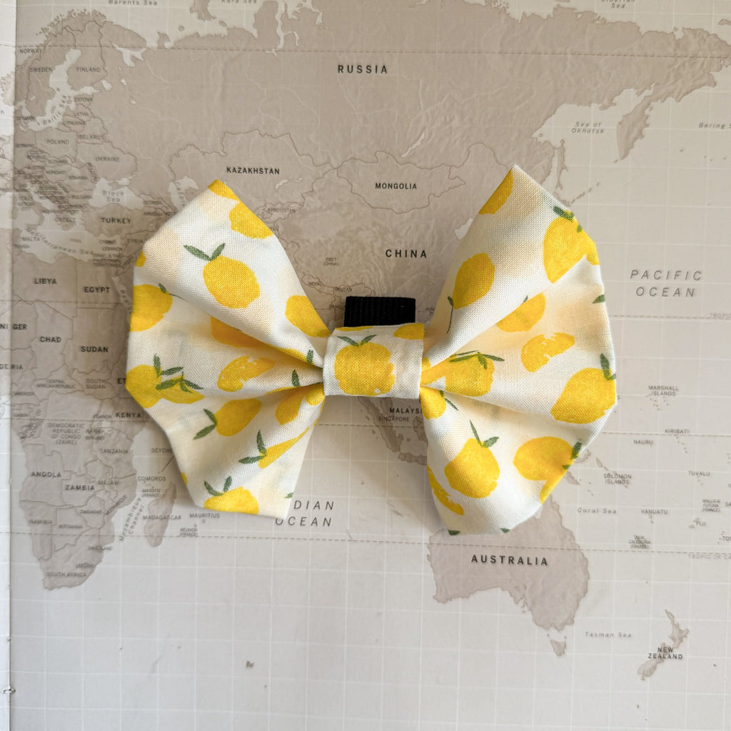 White dog bow with lemon pattern on a world map background.