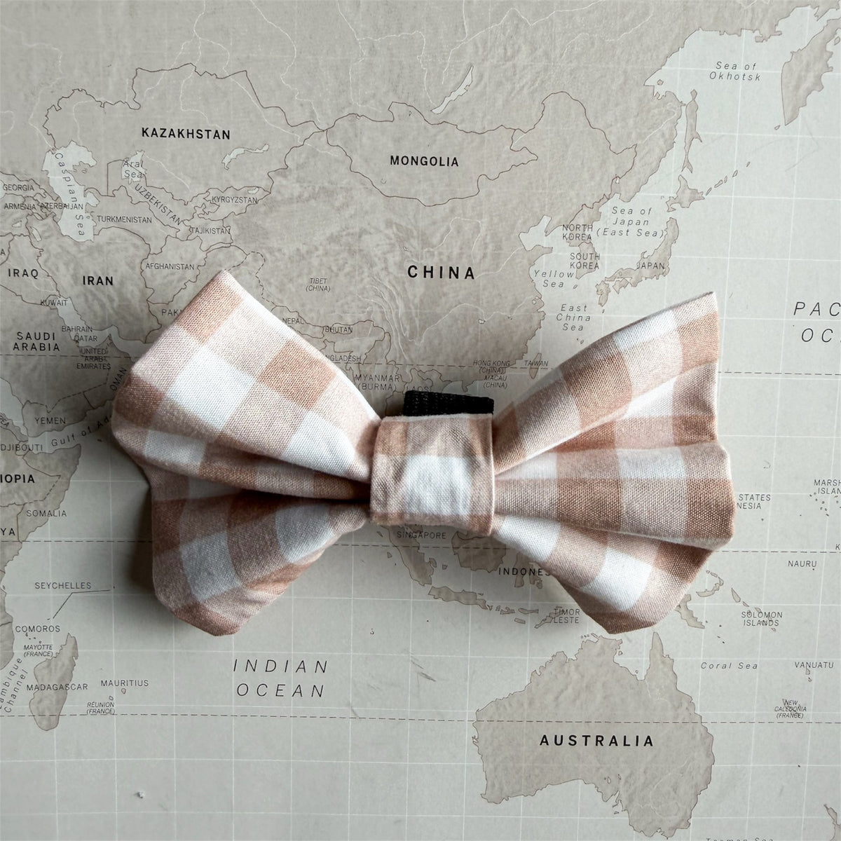 A beige and white gingham  dog bow tie displayed on a world map background. background.