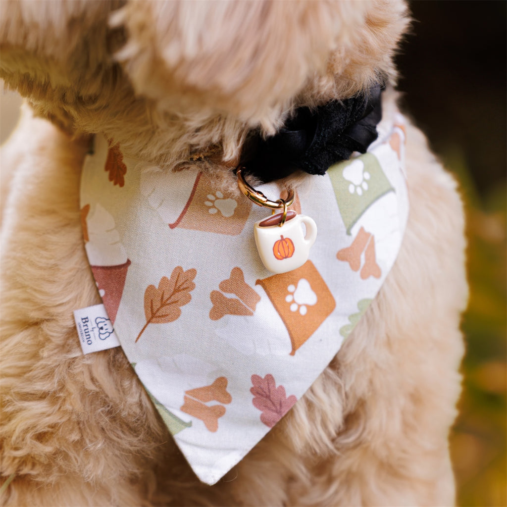 A close-up of a fluffy light brown dog wearing a white bandana with an autumn pattern of leaves, paw prints, and coffee cups, along with a black collar and a small Pumpkin Spice Mug Dog Tag.