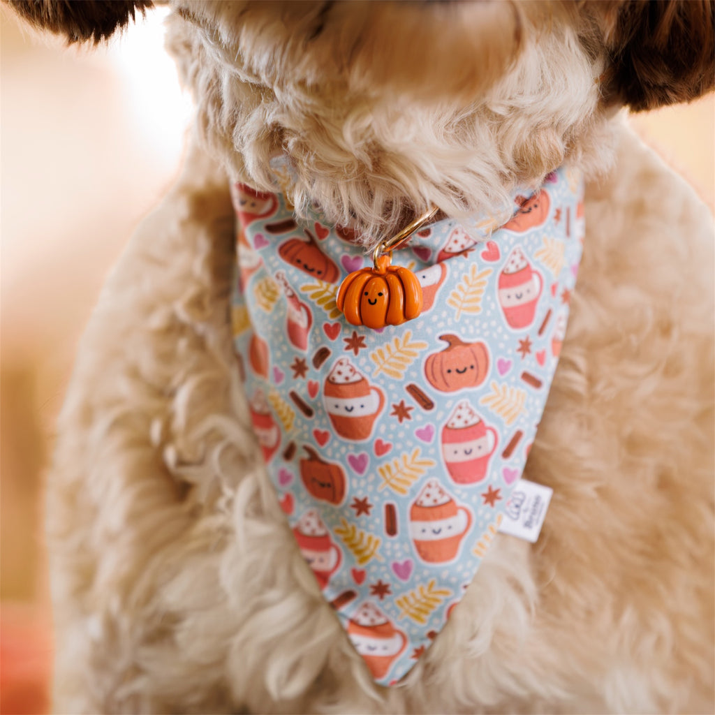 A close-up of a fluffy cream-colored dog wearing a light blue bandana with a cute autumn pattern of cupcakes, pumpkins, and leaves, complete with a small orange pumpkin charm.