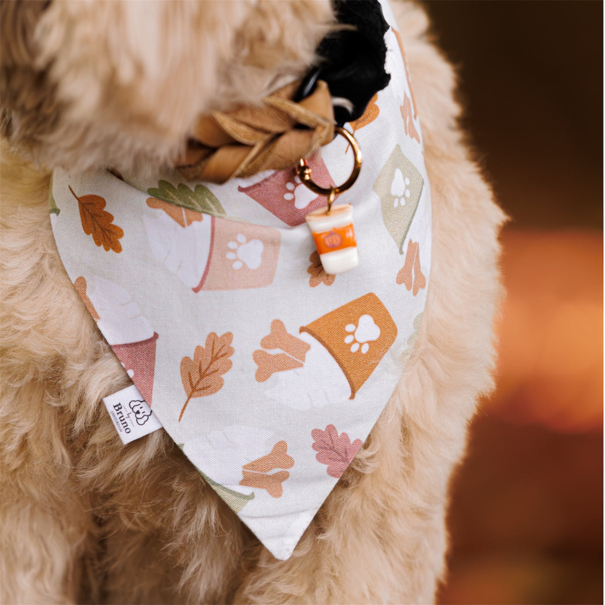 A close-up of a fluffy light brown dog wearing the Puppuccino Season dog bandana. The bandana is white with illustrations of orange leaves, pink paw prints, and small dog houses, and has a small hanging charm shaped like a coffee cup.