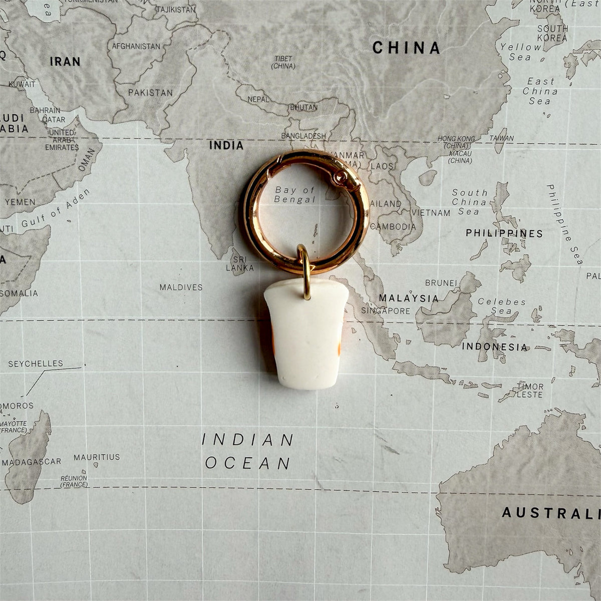 The back side of there pumpkin spice latte dog tag on a world map background.