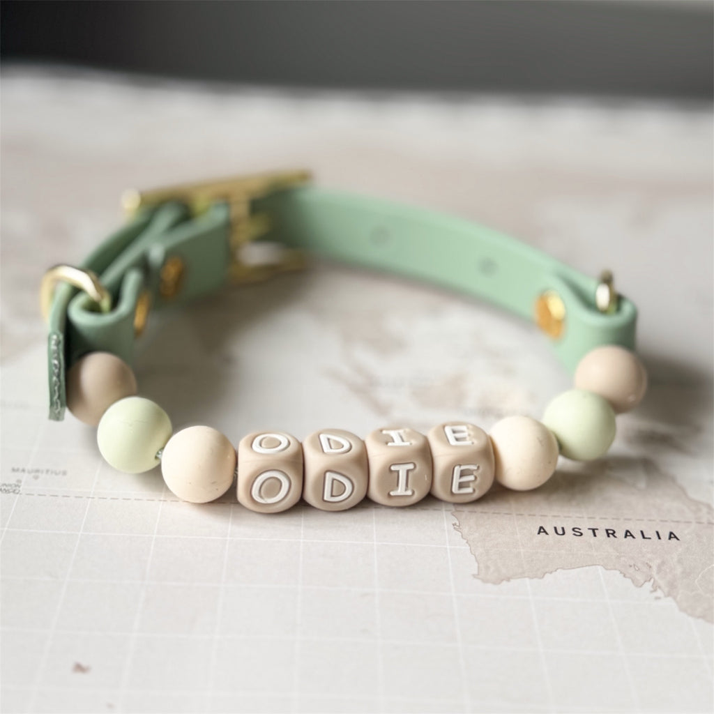 A mint green pet collar with gold-tone hardware and a beaded front. The beads include pale mint green round beads, natural wood cube beads spelling 'ODIE', and a natural wood cube bead with 'ODIE' written on it.