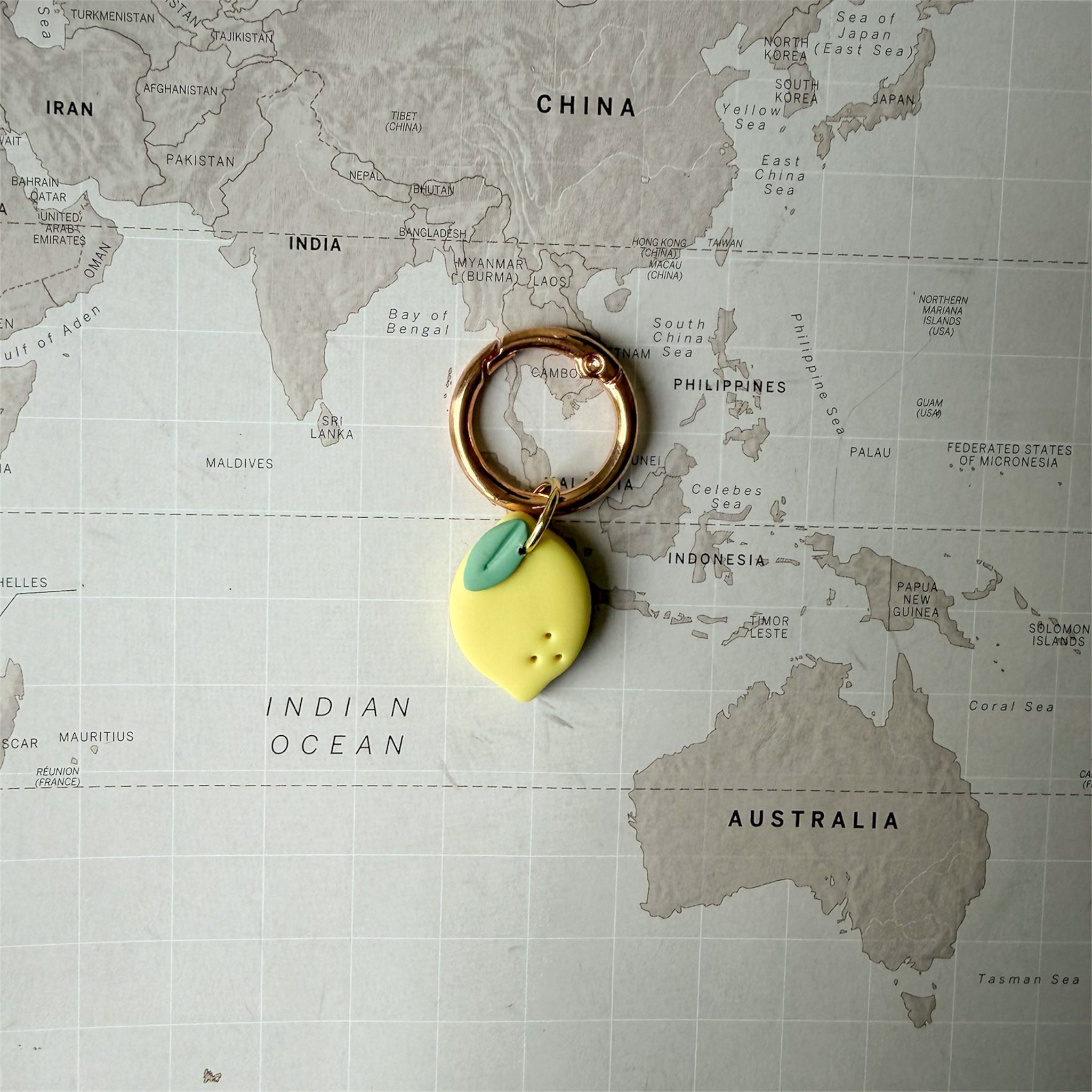 Personalised yellow lemon dog tag with green leaves, handmade from polymer clay on a world map background.