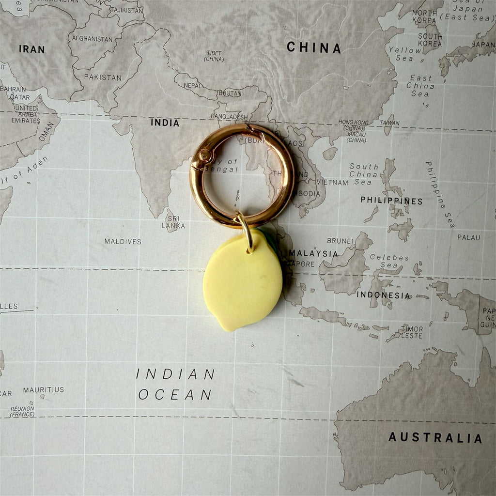 Back side of the personalised yellow lemon dog tag with green leaves, handmade from polymer clay on a world map background.