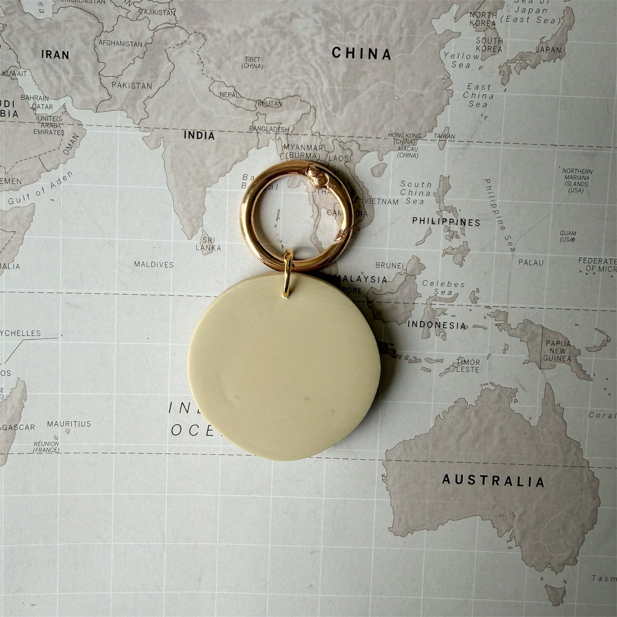 Back side of the handmade dog tag featuring a red crab on a world map background.