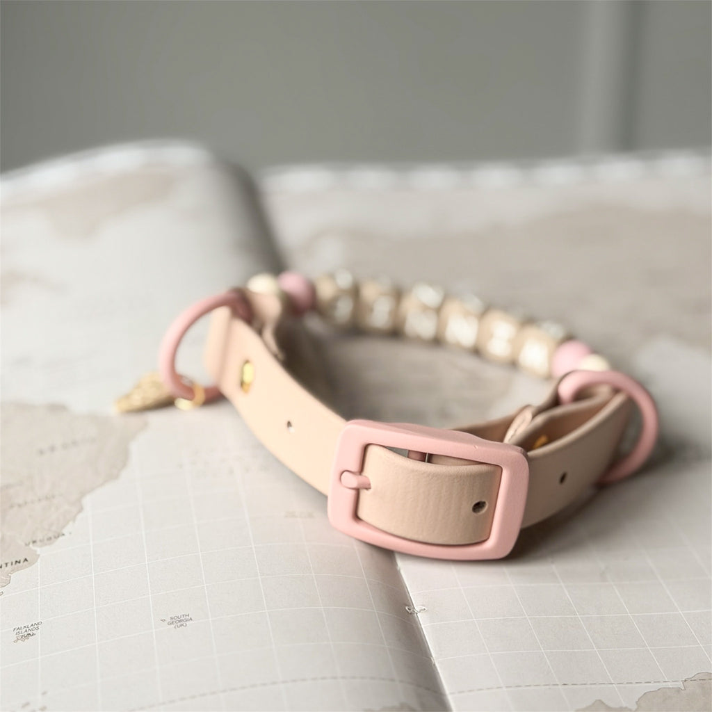 Personalised dog collar with silicone beads indue and pink tones on a world map background.