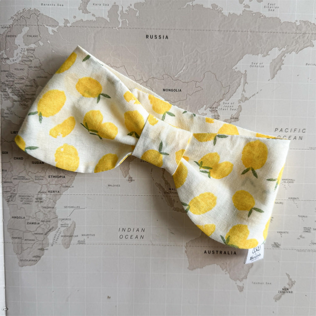 Beige dog bowdana with lemons on a world map background.