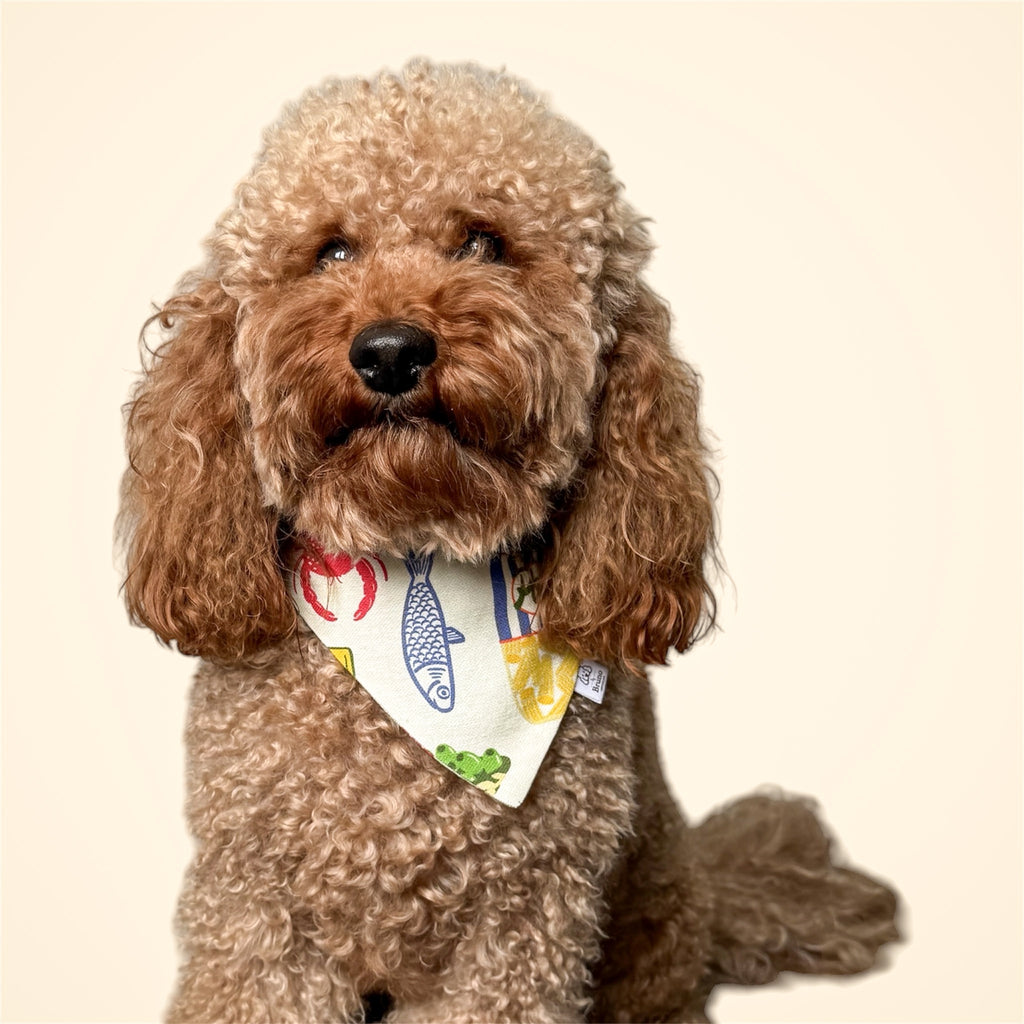 Poodle wearing the Ristorante al Mare bandana on a light background.