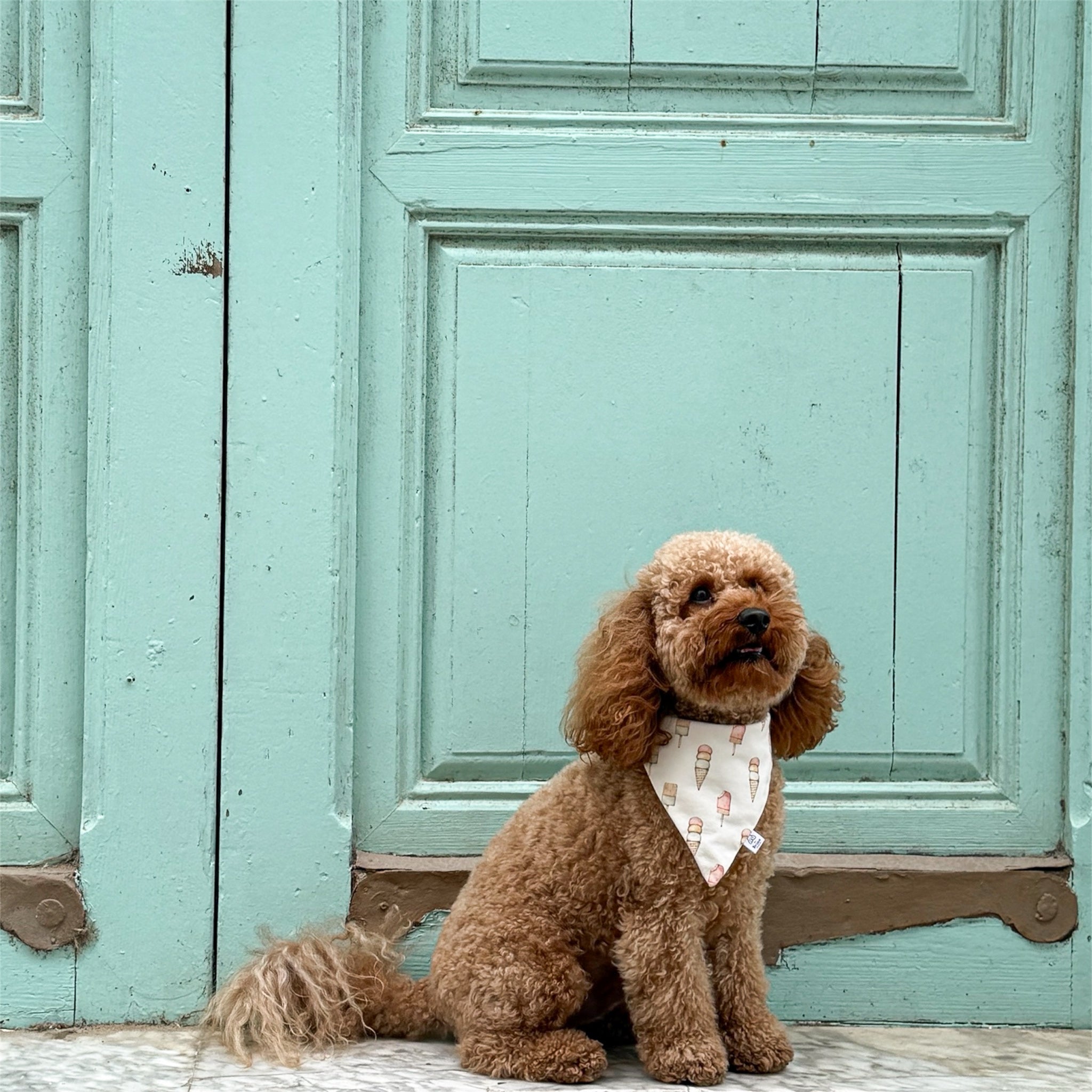 Gelato al Sole Dog Bandana – Handmade Italian Summer Dog Bandana