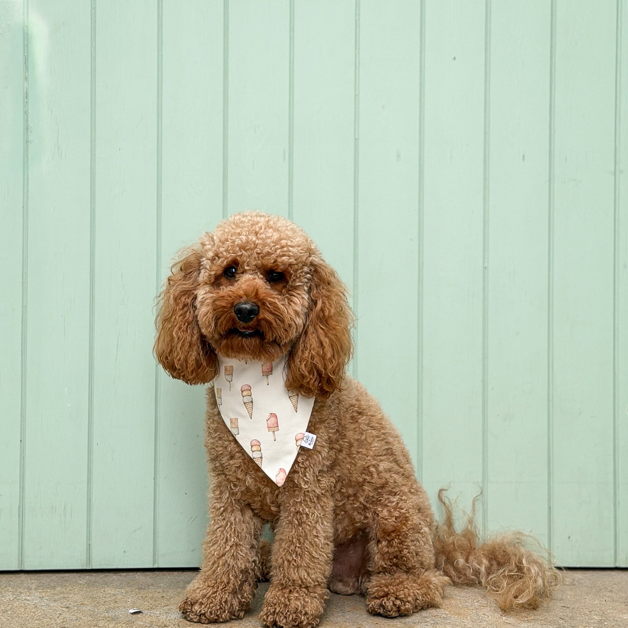 Gelato al Sole Dog Bandana – Handmade Italian Summer Dog Bandana