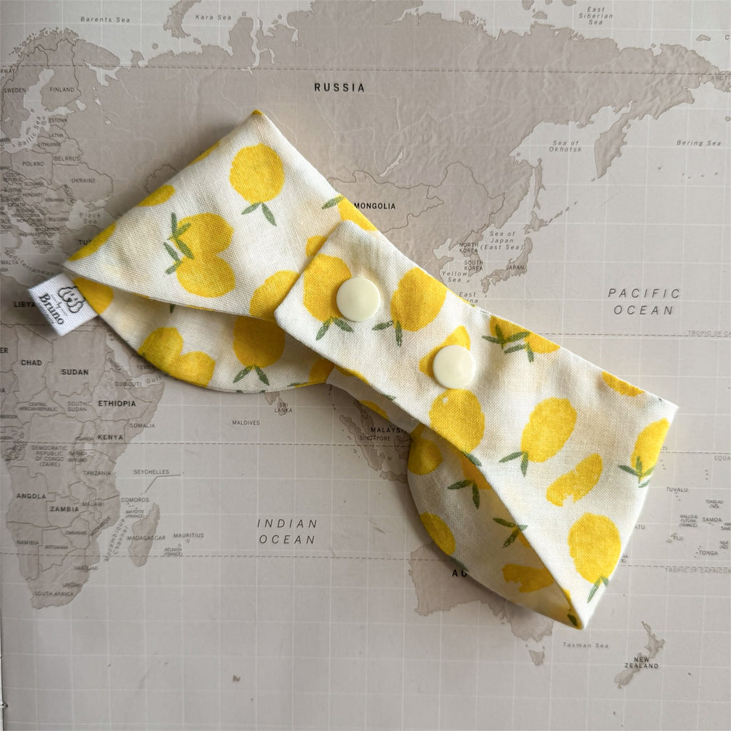 Back side of the beige dog bowdana with lemons and plastic beige buttons on a world map background.