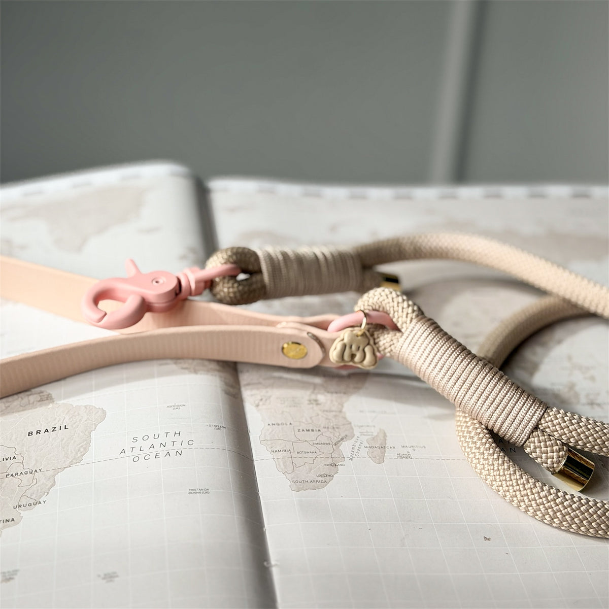 Beige dog leash with pink handle on an open world map