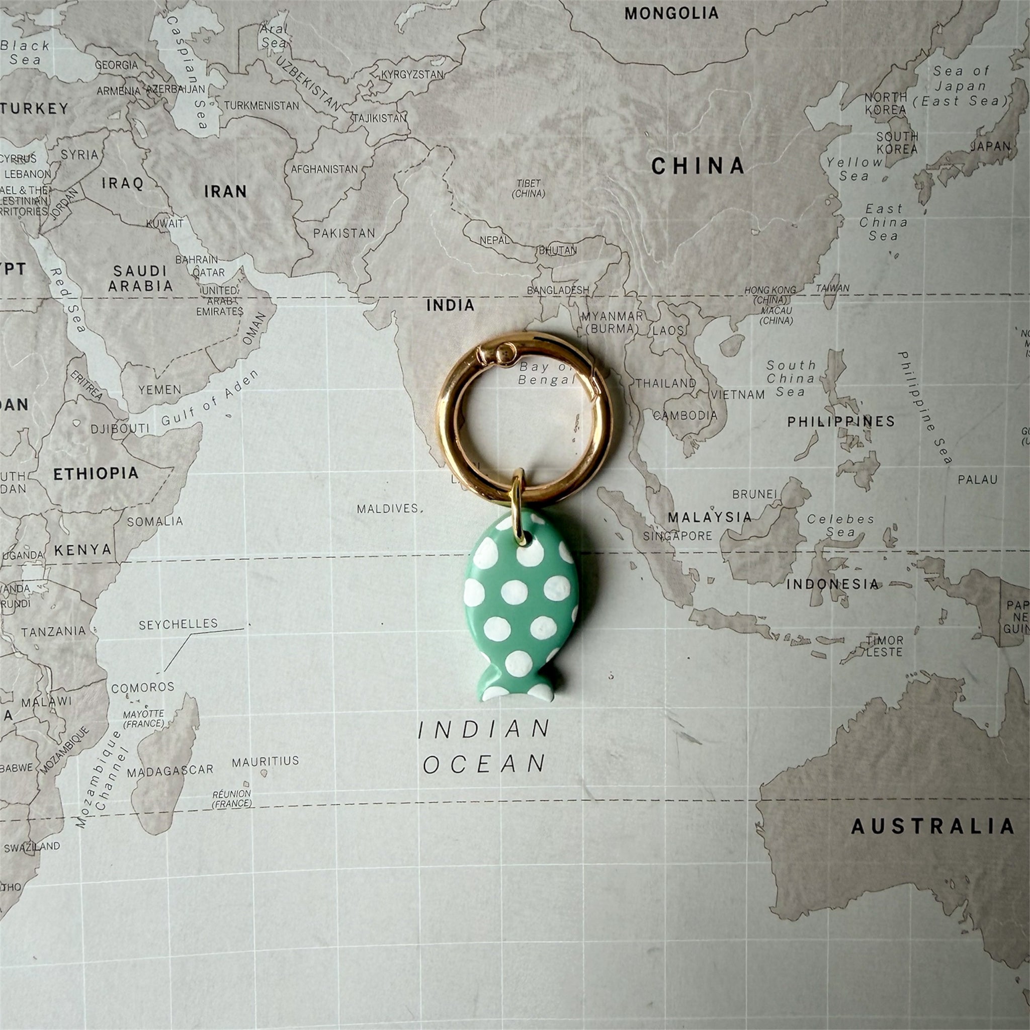 Custom polymer clay dog tag with playful green sardine design on a world map background.