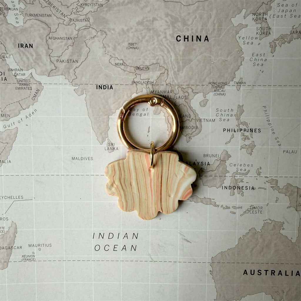 Back side of the coastal personalised dog ID tag shaped like a beige seashell on a world map background.