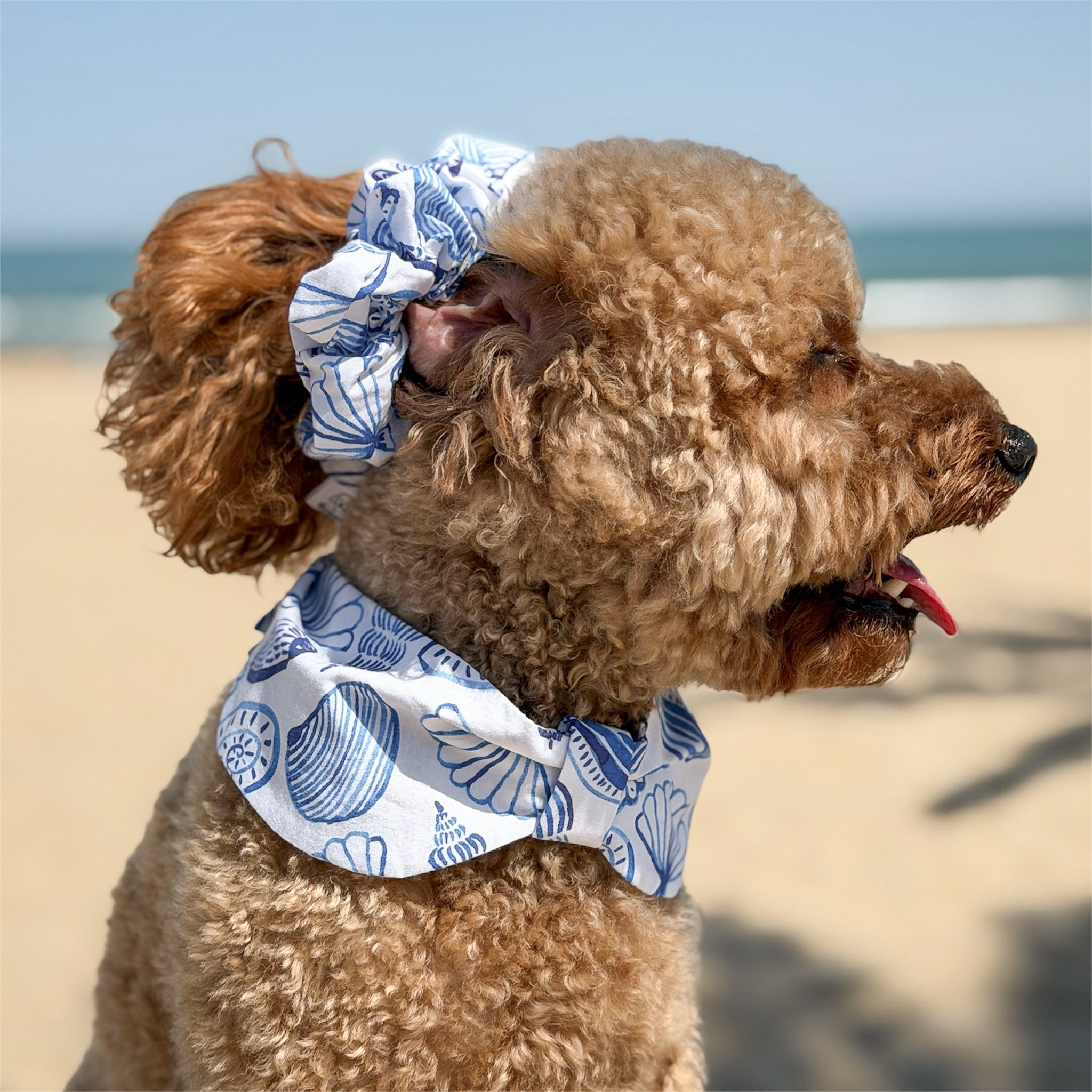 Sea Shells Scrunchie – Handmade Coastal Summer Hair Accessory for Dog Moms