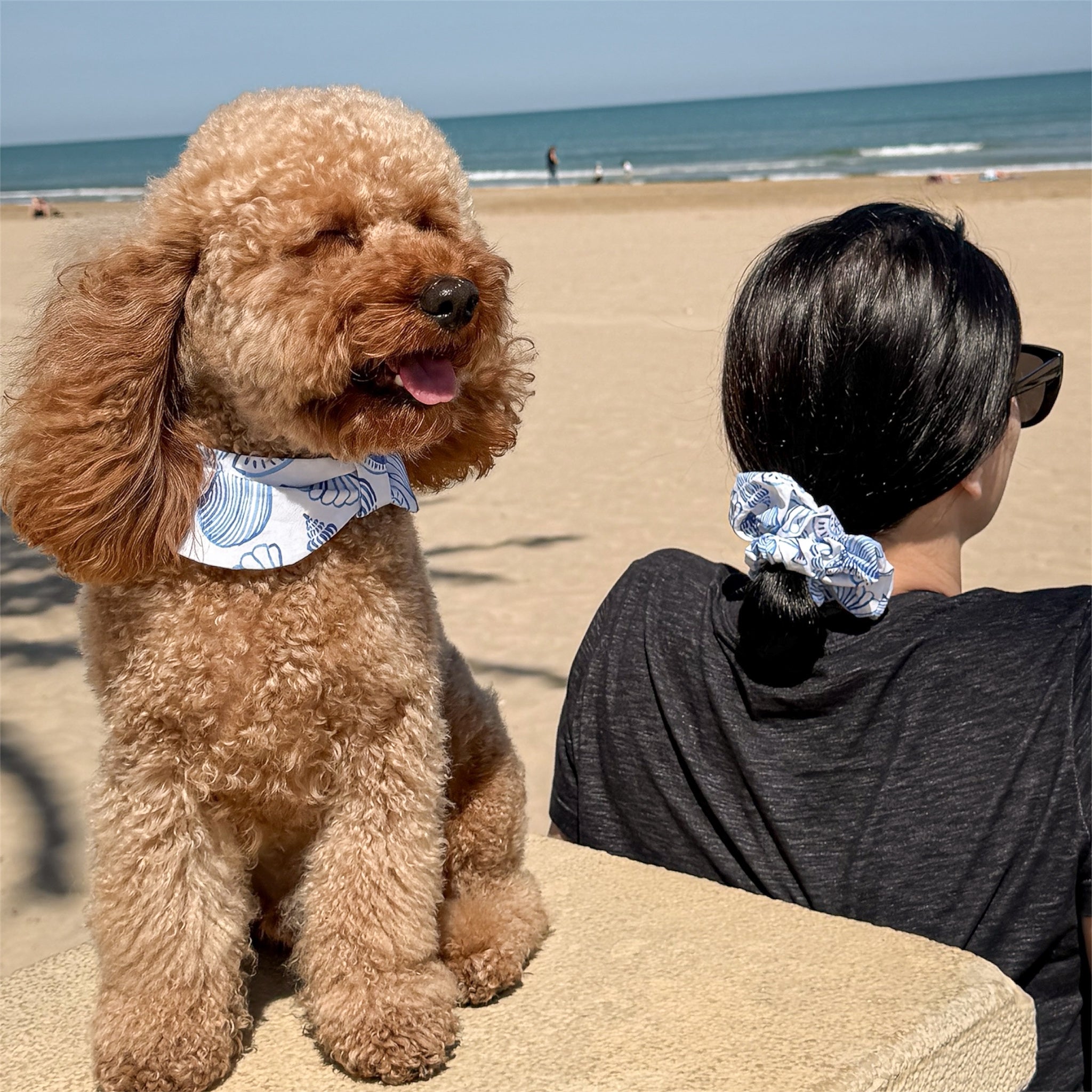 Dog wearing the Sea Shells bowdana next to owner wearing the matching scrunchie.